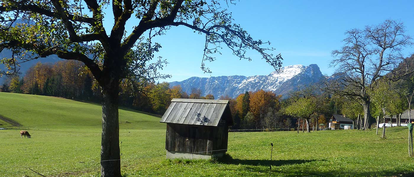 Dörrhüttlpass